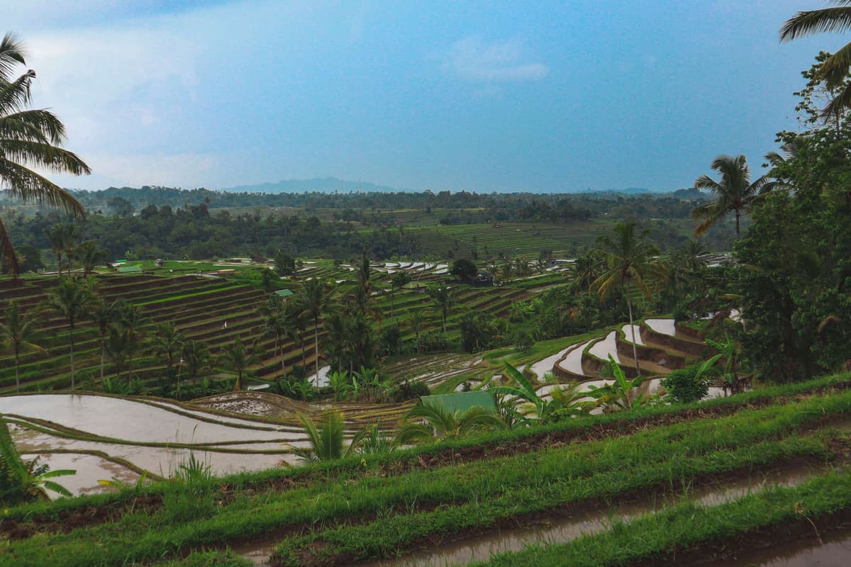 Cost of living in Bali