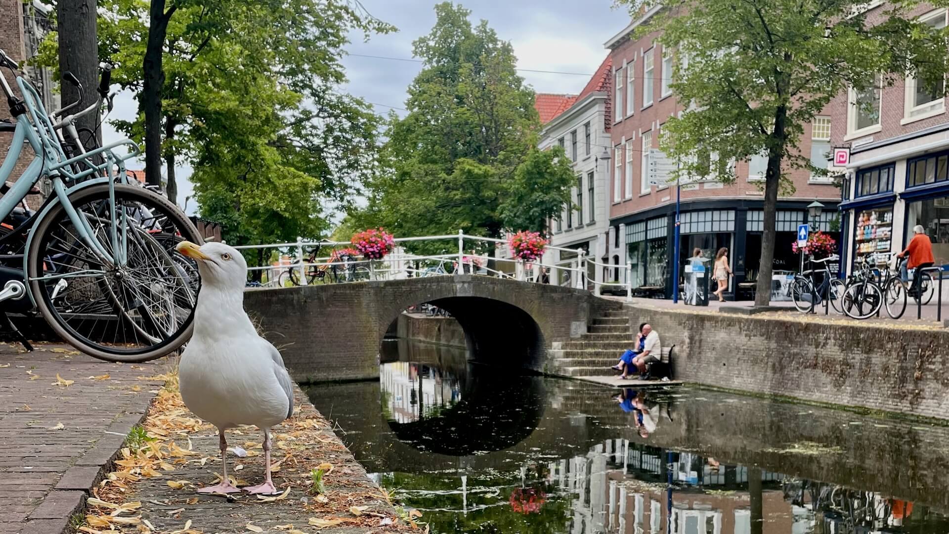 Beautiful canals in Delft