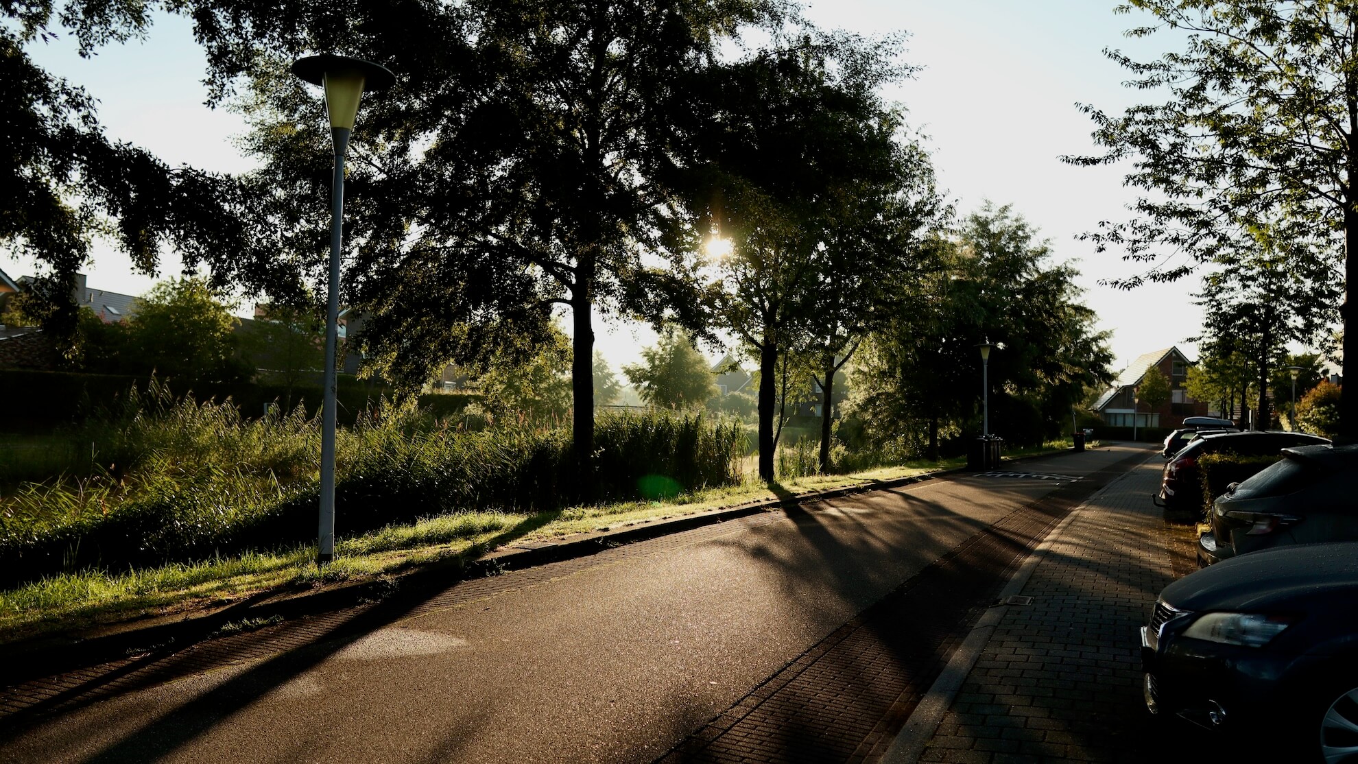 Peaceful residential area in Zwolle